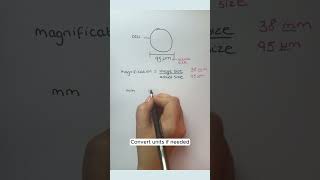 🔬 Magnification Formula in Biology  #shorts #biology #revision #teachertips #twinklsecondaryscience