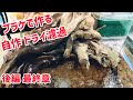 ドライ濾過 一体型ケージを自作する！ レイアウトも全てが濾過になる【後編 最終章】