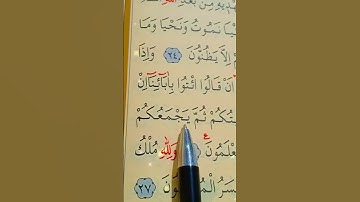 سورة الجاثية الأية 25 إلى 27 بصوت سعد الغامدي