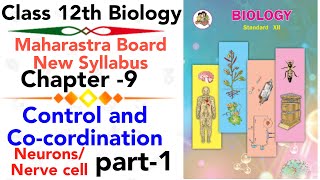 Part-1 Ch-9 Control and Coordination Biology class 12 maharashtra board new syllabus neurons/ nerve