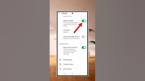 How to turn off media visibility for specific chat Whatsapp