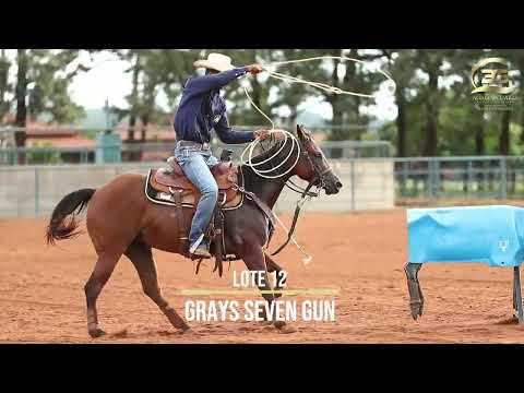 12   GRAYS SEVEN GUN