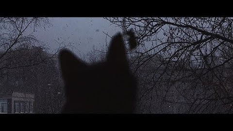 Thumbnail of 𝐈𝐧 𝐭𝐡𝐢𝐬 𝐝𝐚𝐫𝐤𝐧𝐞𝐬𝐬-𝐂𝐥𝐚𝐫𝐚 𝐥𝐚 𝐬𝐚𝐧(𝐬𝐥𝐨𝐰𝐞𝐝 𝐧’ 𝐫𝐞𝐯𝐞𝐫𝐛|𝟏𝐡𝐨𝐮𝐫 𝐥𝐨𝐨𝐩)