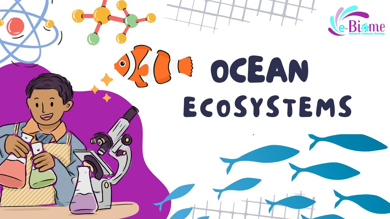OCEAN ECOSYSTEMS: MARINE FLORA AND FAUNA