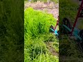 சைக்கிள் ஸ்டைல்ல ஒரு புல் வெட்டும் மெஷின் 🚜✂️#lawnmower #farmingtools #invention #shorts