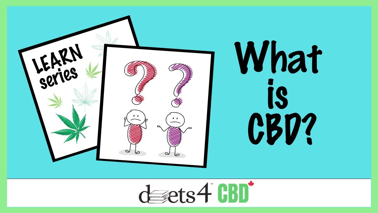 Learn about cannabis and CBD | We explain the difference between cannabis and CBD in simple terms!.