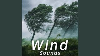 Blustery Mountain Wind