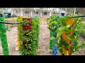 Vertical hydroponic farming
