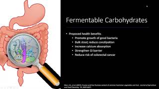 Webinar on Irritable Bowel Syndrome: Are FODMAPS to Blame?