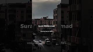 Download Lagu Surah Muhammad|Voice By Hani Ar-Rifa'i #shorts #quran MP3