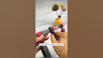 Pac gác cần câu đôi chất liệu hợp kim cao cấp #cauca #fishing