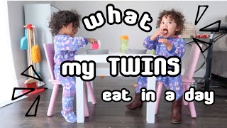 what my 20 month toddlers eat in a day Nurture Life Meals Review