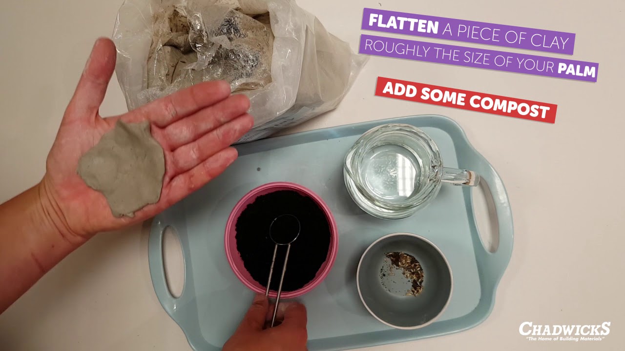 How to Make A Wildflower Seed Bomb