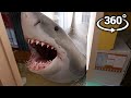 Megalodon 360  in your house