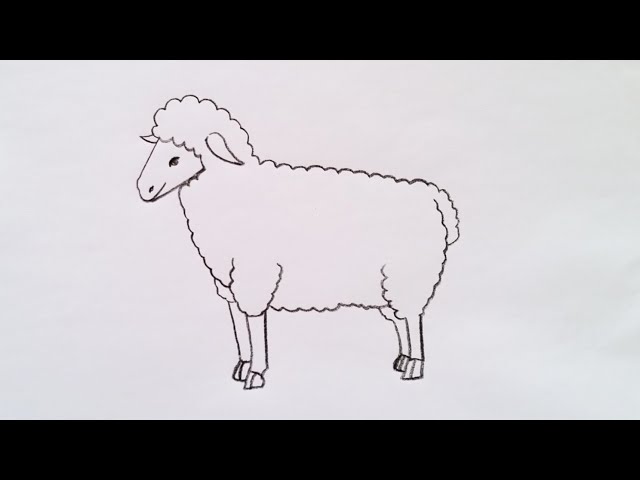 Watercolor Pencil Farm IX-Sheep Can - Canvas Art Print | Kelsey Wilson