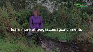 Stream ecology - ACP surveys
