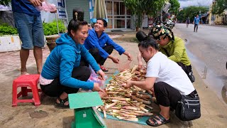8 Months Pregnant Picking Bamboo Shoots to Bring to the Market to Sell, Cooking Lunch at the Farm