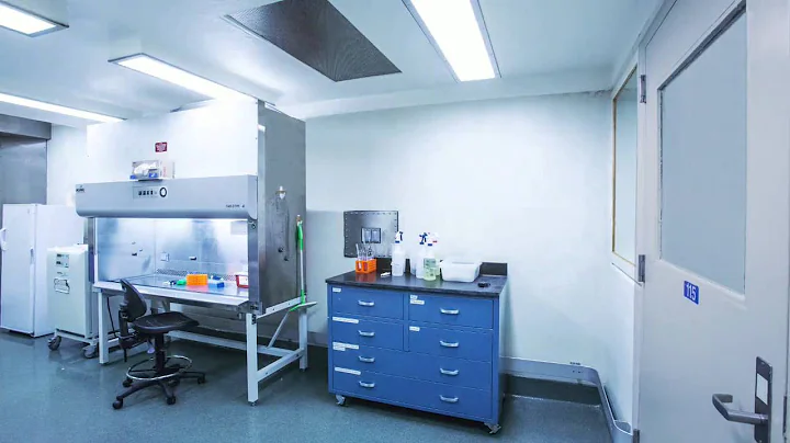 Biological Safety Cabinets: How They Work to Prote...