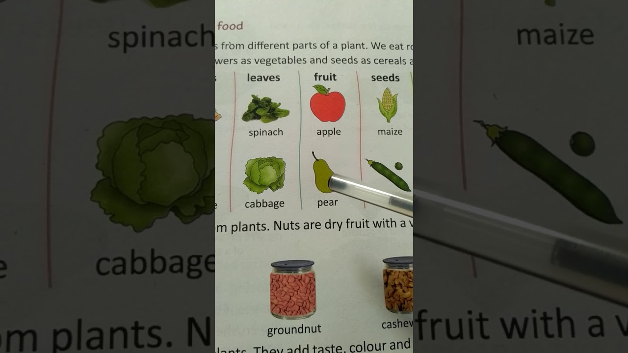 STD 2 (plants give us food) YouTube