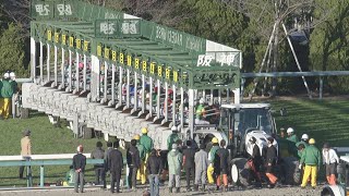 2023 ASAHI HAI FUTURITY STAKES (G1) | JRA 