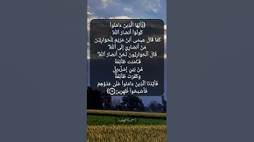 سورة الصف الآية ١٤ بصوت الشيخ محمد صديق المنشاوي