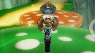 Mario Kart Wii - All Stunts