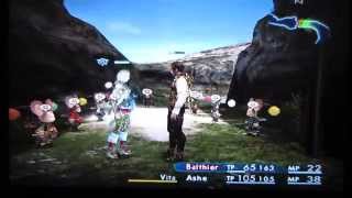 Final Fantasy XII unknown Ashe glitch