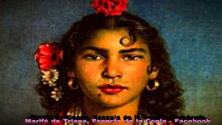Video thumbnail of "MARIFÉ DE TRIANA - TRINIA  ( CANCIÓN )"
