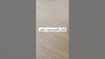 القرآن الكريم بصوت جميل #explore #قرانكريم #قران_كريم #تيك_توك #قران #قرآن #لايك #quran
