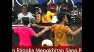 bunga dahlia Ratna antika monata