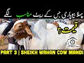 Part 3: Sheikh Wahan Cow Mandi 2022 | Cattle Market Karachi | Bakra Eid 2022 | HD Cattle Farm