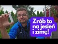 Użyj to ochronnie na skórę - szczególnie na jesień i zimę