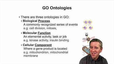 1.3 Tour of major NCBI and EBI databases