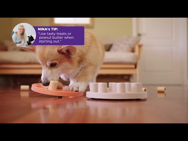 Outward Hound - Dog Smart Composite Interactive Treat Puzzle Dog