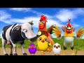 El Pollito y el Tractor de la Granja | Escapando del Toro y del Pollito| La Granja de Zenón La Vaca