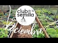 El Club de la Semilla. 🌼Variedades de Diciembre de 2022
