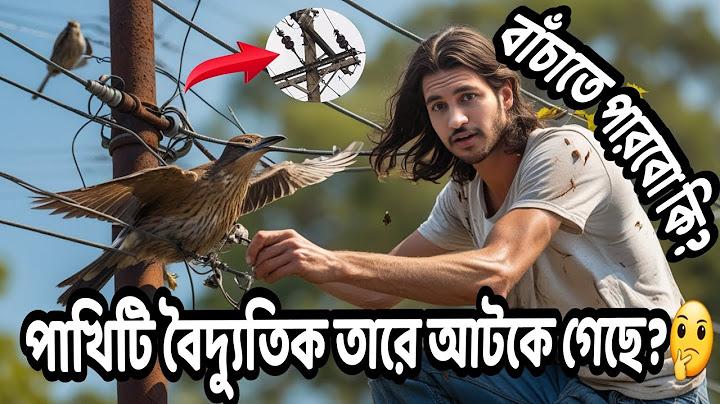 আমি পারবো কি বাঁচাতে পাখিটিকে🤔