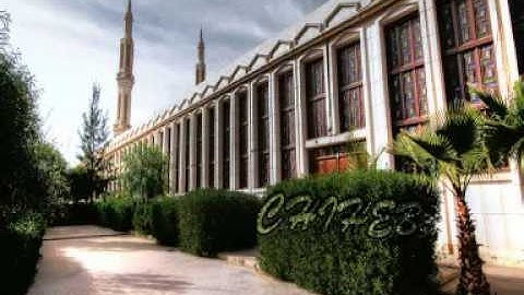 سورة القمر شكيب سعيدي (مسجد 1 نوفمبر باتنة)