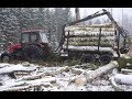 Belarus Mtz 1025 forestry tractor with homemade trailer logging in winter forest