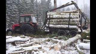 Belarus Mtz 1025 forestry tractor with homemade trailer logging in winter forest