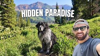 Hiking Rustler Gulch with My Dog | Crested Butte, Colorado