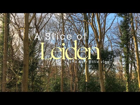Going outside to touch grass| Vlog| Leiden| Day in the life