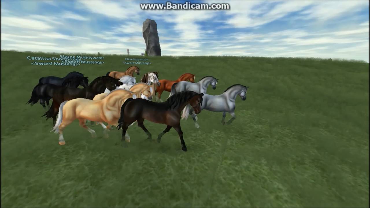 Sword Mustangs- 5 percben ¤