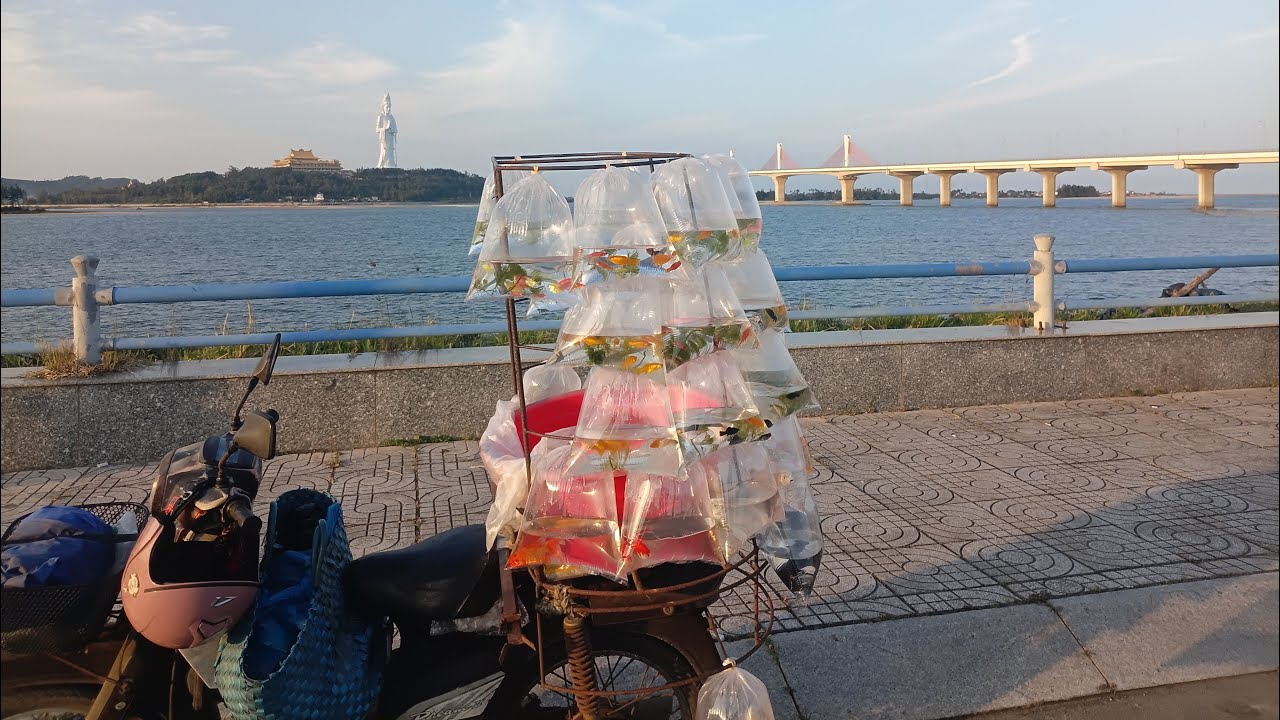 Đường Trường Sơn gần cầu Cổ Luỹ 