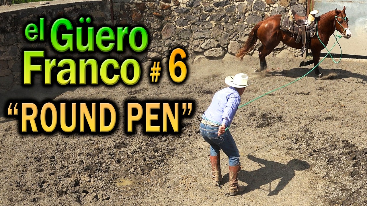ROUND PEN ventajas, técnicas y modos de trabajo - Alfredo Franco forma sus Caballos