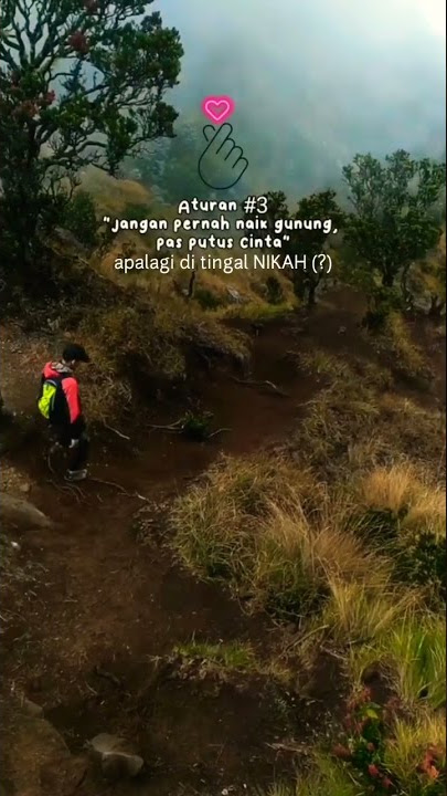 Story pendaki gunung - gunung Indonesia #shorts #story #viral  #gunungindonesia #puncakgunung