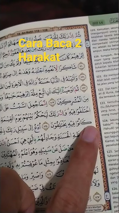 Cara Baca 2 Harakat pada Alif | Belajar Tajwid Beserta Contohnya