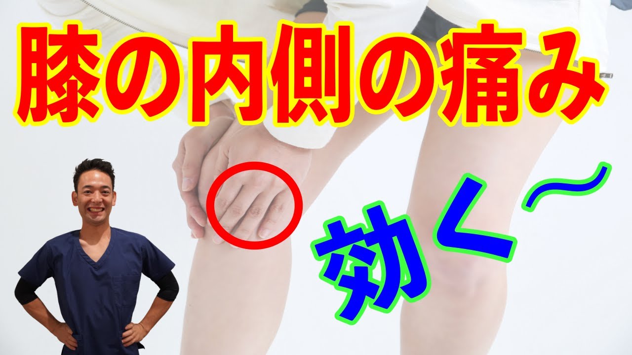 This could be the cause of your pain on the inside of your knee
