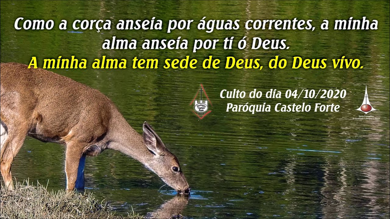 EIN GEDI  Como a CORÇA anseia por ÁGUAS - Os ESPINHOS da coroa de Jesus.  Davi corta o manto de Saul 