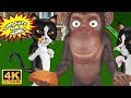 The Monkey & Two Cats Sharing Cake 3D Animated English Moral Stories For Kids | Cartoon For Children